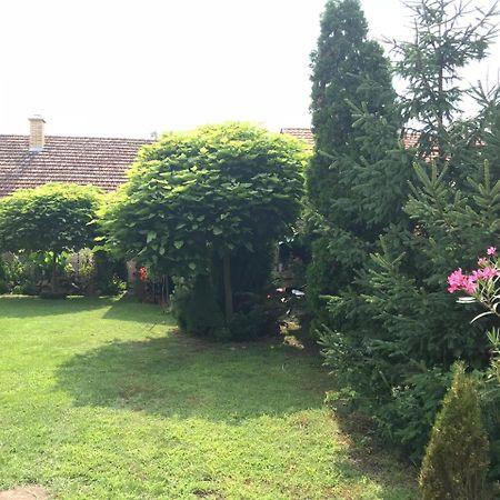 Villa Nirvana Palić Exteriér fotografie