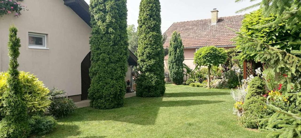 Villa Nirvana Palić Exteriér fotografie