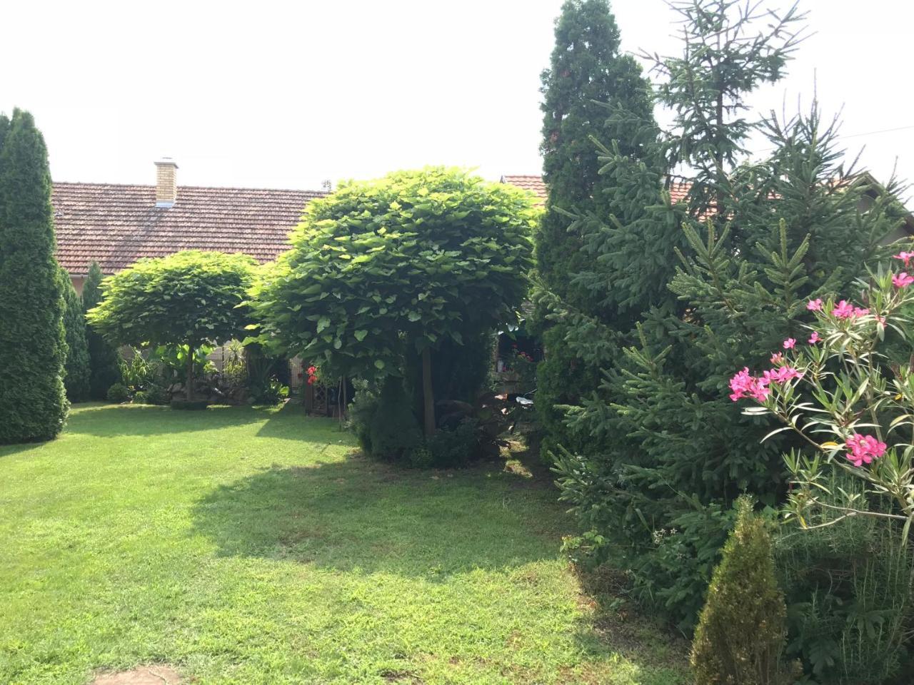Villa Nirvana Palić Exteriér fotografie
